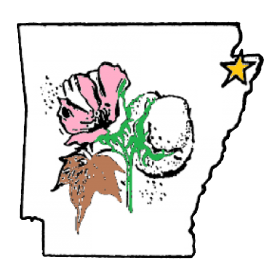 Town of Dell  Arkansas - A Place to Call Home...